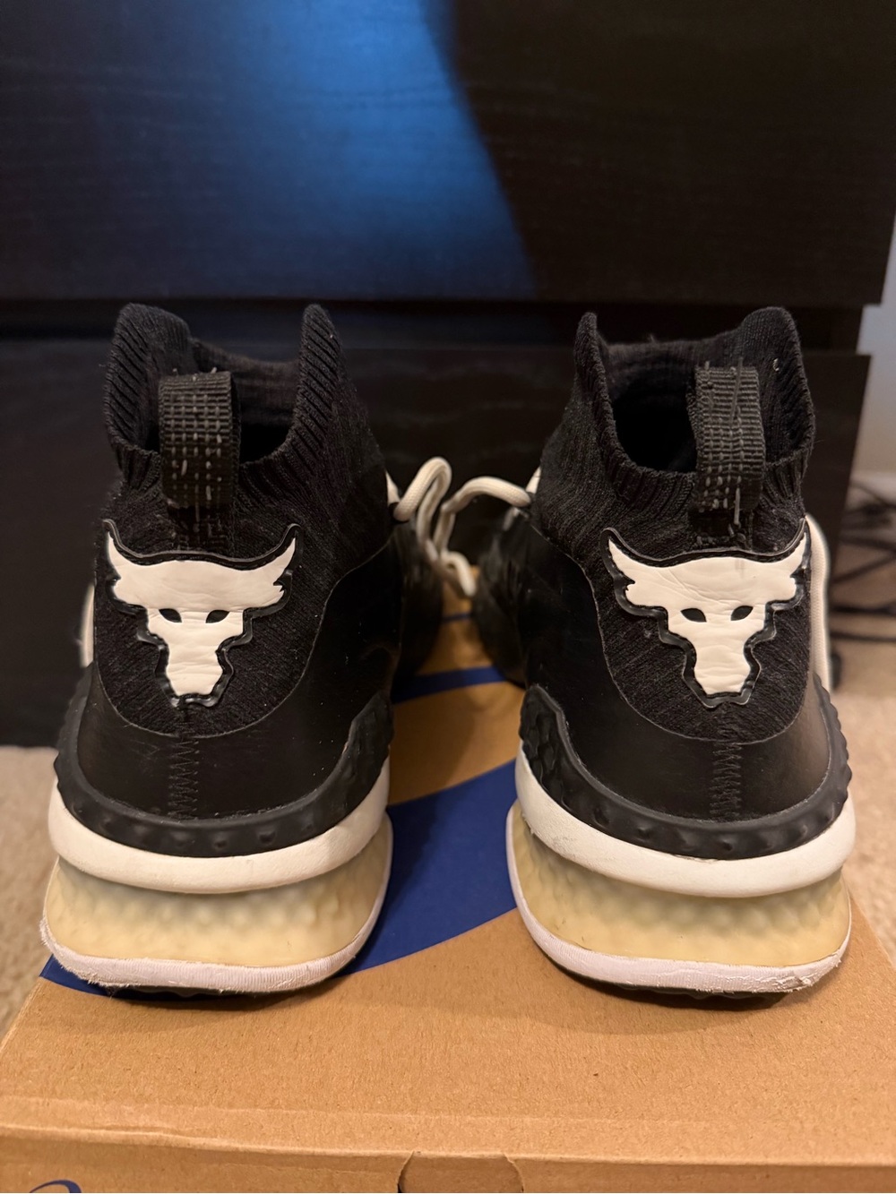 Project Rock 1 Shoes